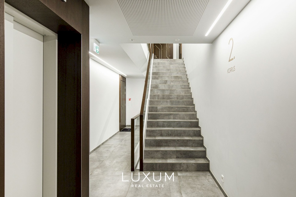 Tallinn, Kesklinna linnaosa, Kadriorg, Kiikri 6/1