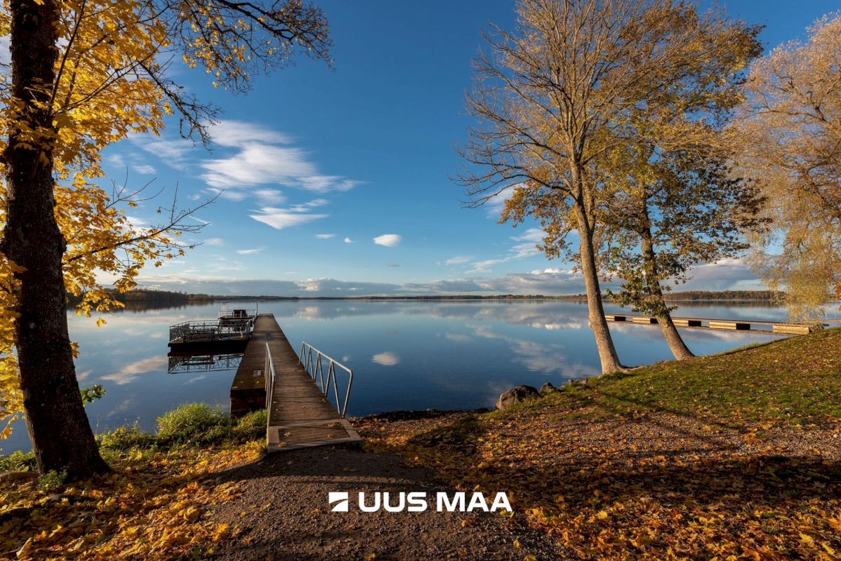 Tartu vald, Äksi alevik, Järve tänav 7