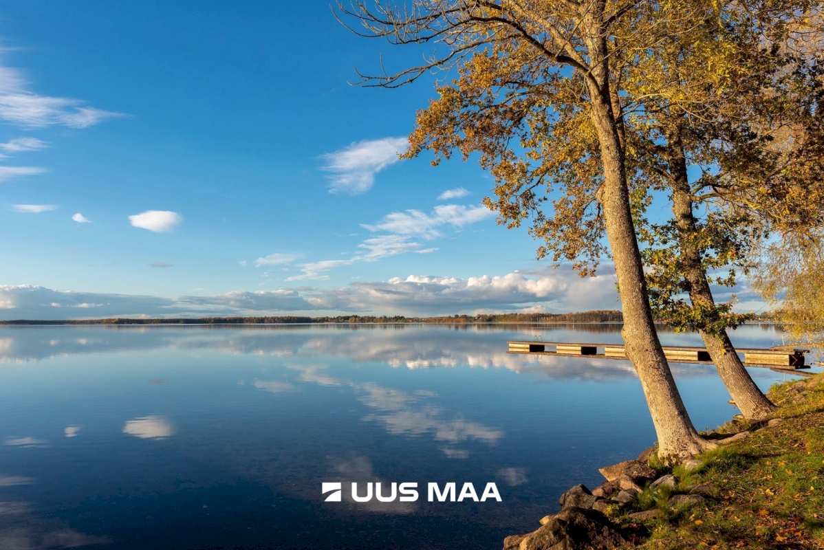 Tartu vald, Äksi alevik, Järve tänav 7