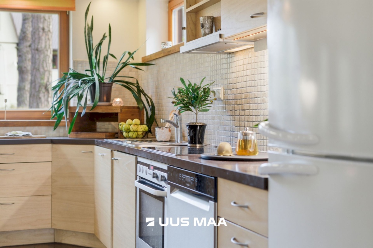 Loksa linn, mere tn 6