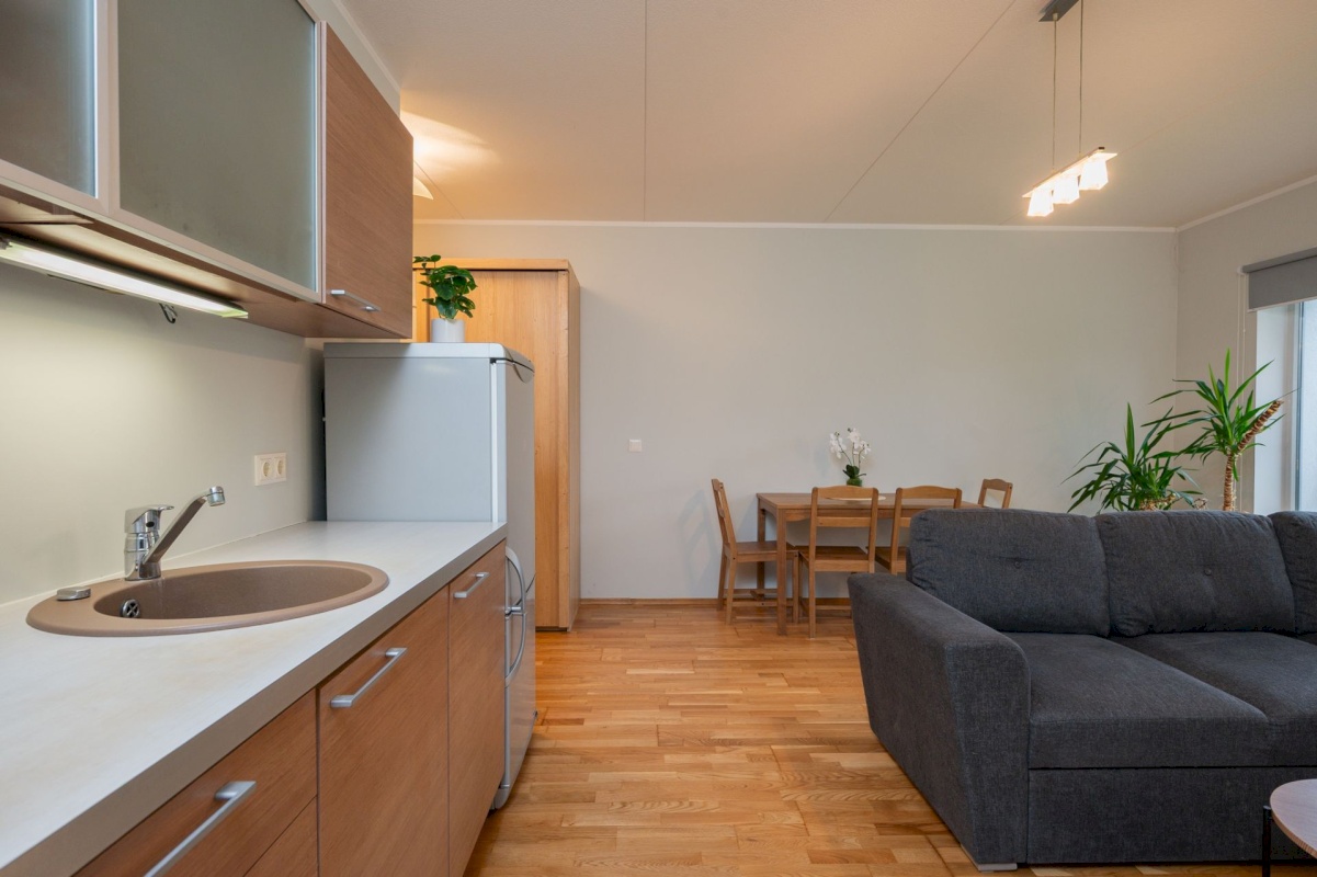 Tartu linn, Tartu linn, Karlova, Purde tn 19