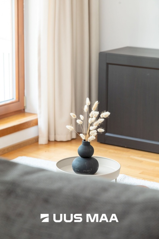 Viimsi vald, Viimsi alevik, Karulaugu tee 9