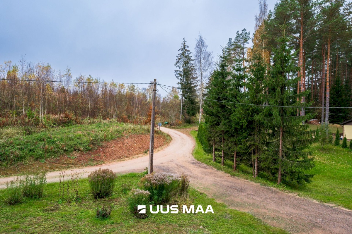 Nõo vald, Voika küla, Laane vkt 4