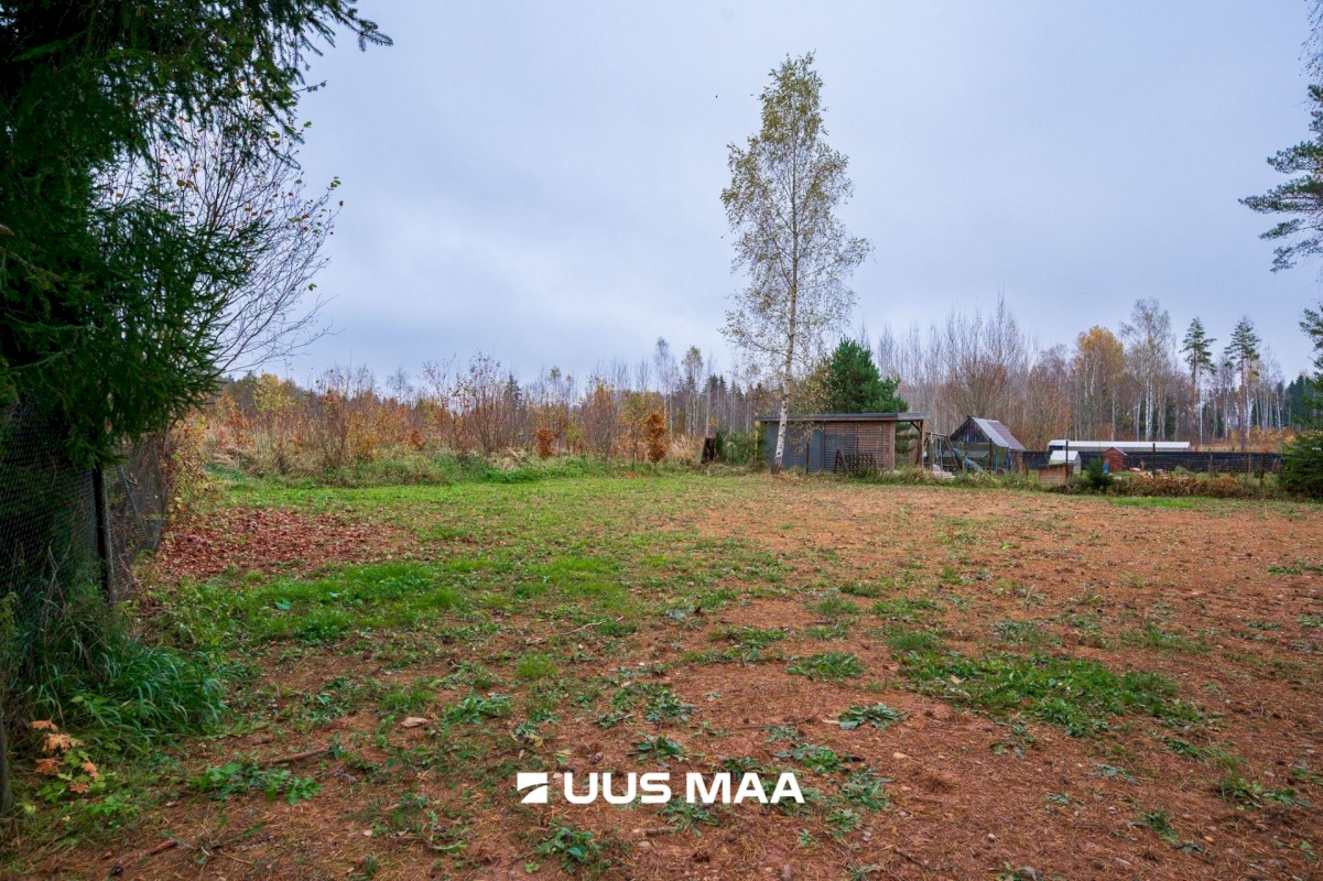 Nõo vald, Voika küla, Laane vkt 4