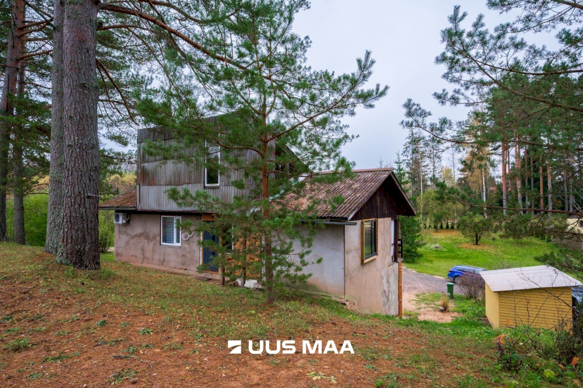 Nõo vald, Voika küla, Laane vkt 4