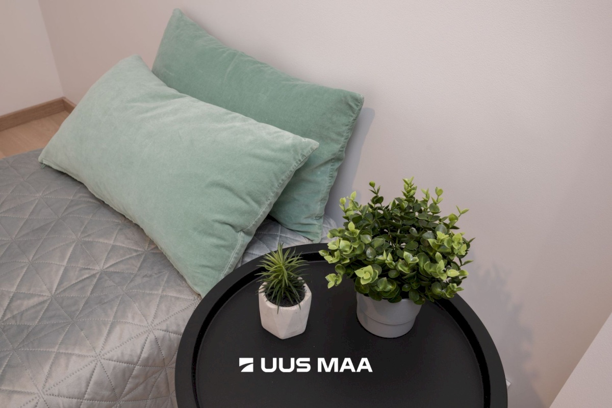 Kiili vald, Luige alevik, Põllu 12