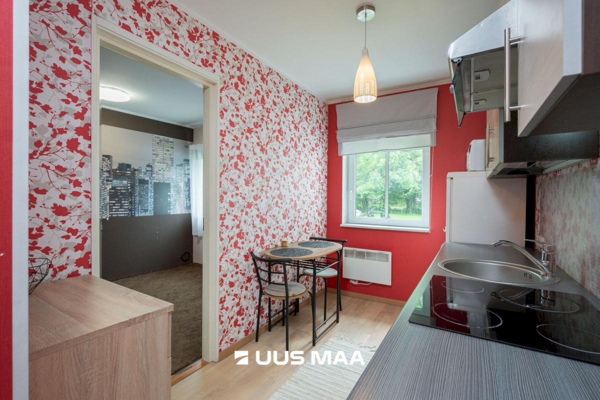 Tartu linn, Tartu linn, Veeriku, L. Puusepa 24