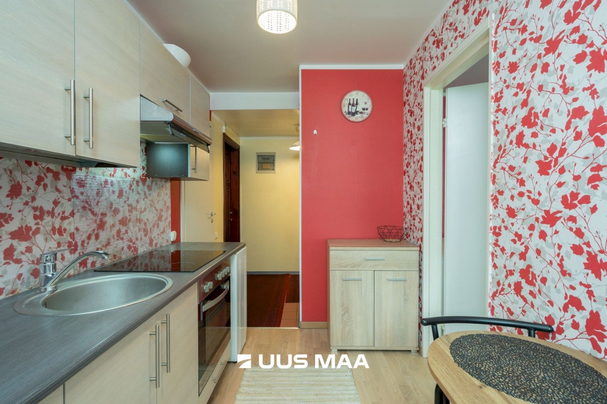 Tartu linn, Tartu linn, Veeriku, L. Puusepa 24