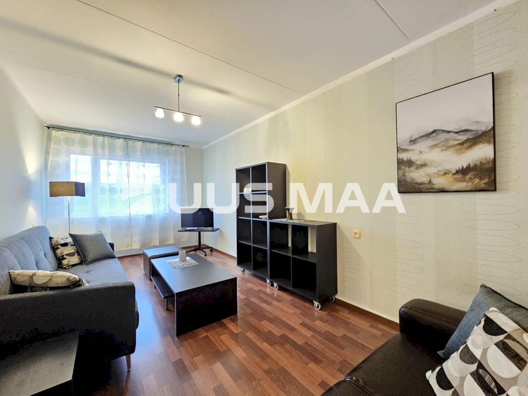 Rakvere linn, Vilde 13