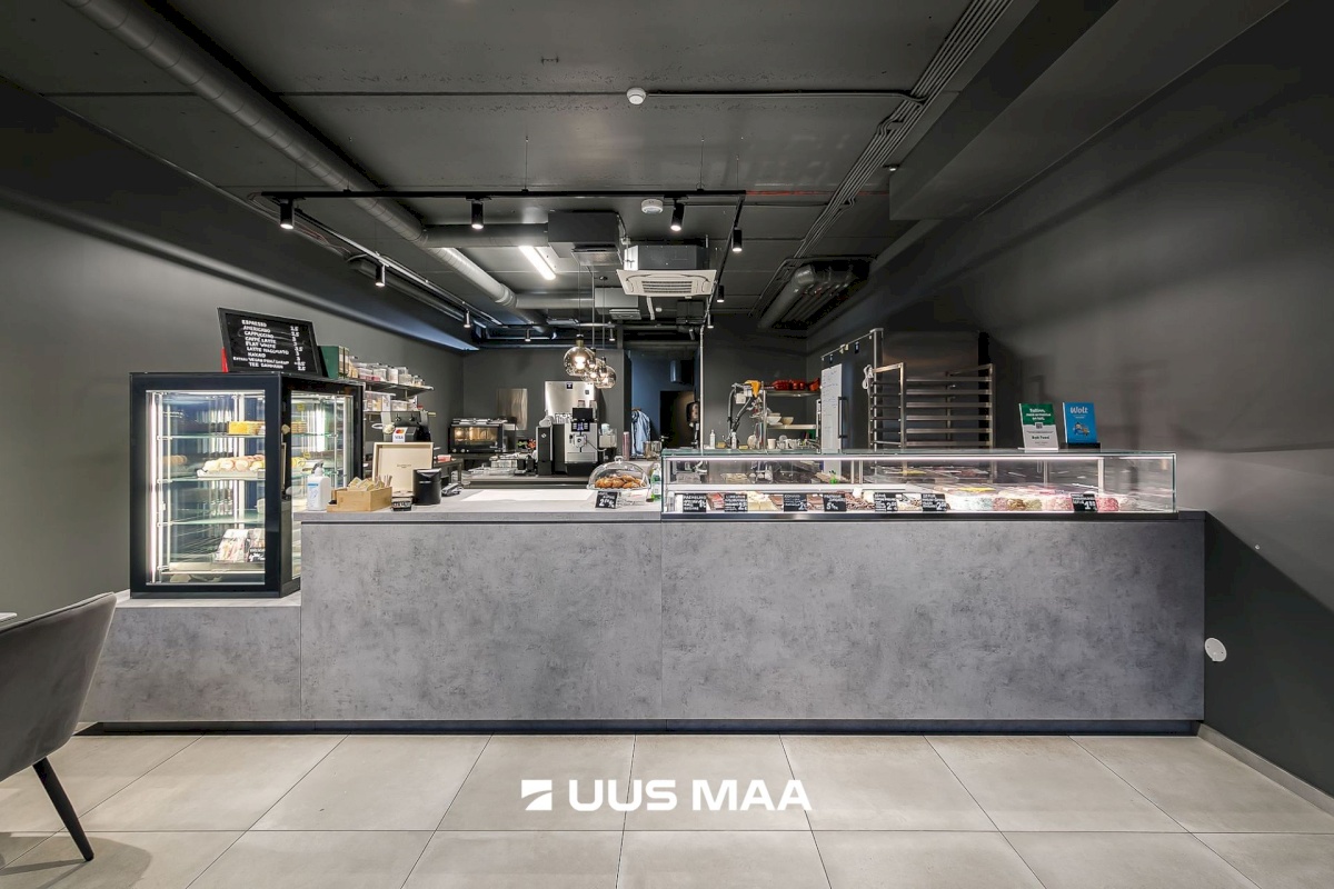 Tallinn, Kesklinna linnaosa, Kentmanni tn 28