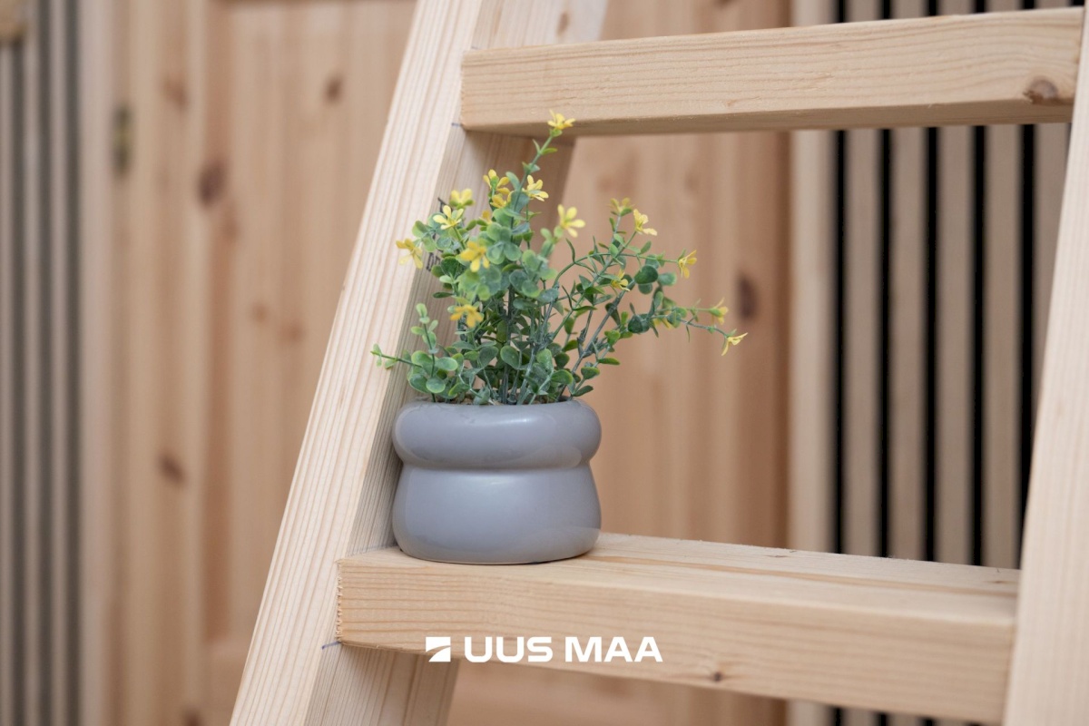 Lääne-Nigula vald, Telise küla/Tällnäs, Juurika 5