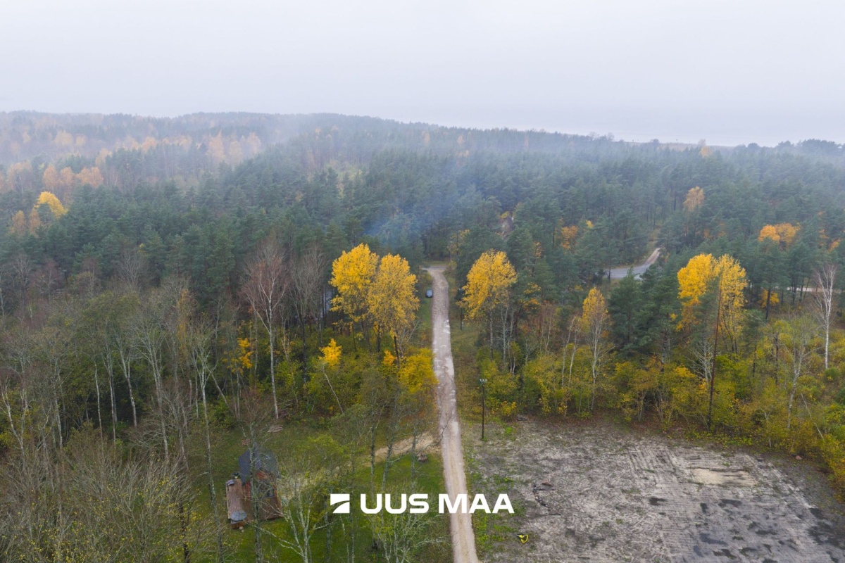 Lääne-Nigula vald, Telise küla/Tällnäs, Juurika 5
