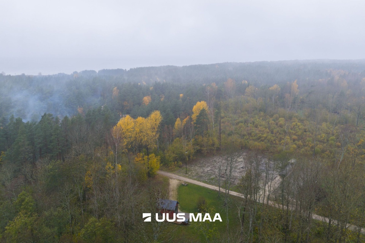 Lääne-Nigula vald, Telise küla/Tällnäs, Juurika 5