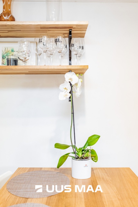 Saku vald, Juuliku küla, Murumäe tee 54