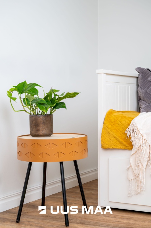 Tallinn, Kesklinna linnaosa, Kadriorg, Narva mnt 40