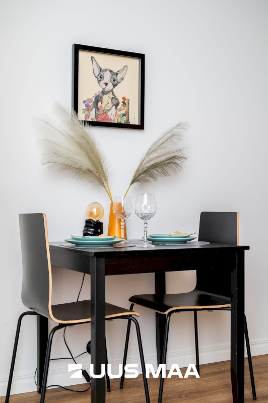 Tallinn, Kesklinna linnaosa, Kadriorg, Narva mnt 40