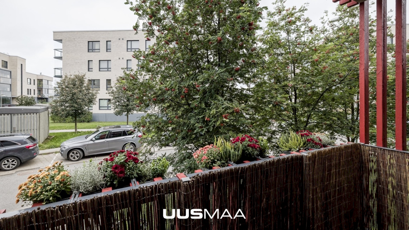 Tallinn, Põhja-Tallinna linnaosa, Vibu tn 3