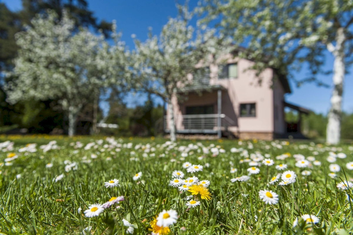 Kohila vald, Aespa alevik, Nelgi tn