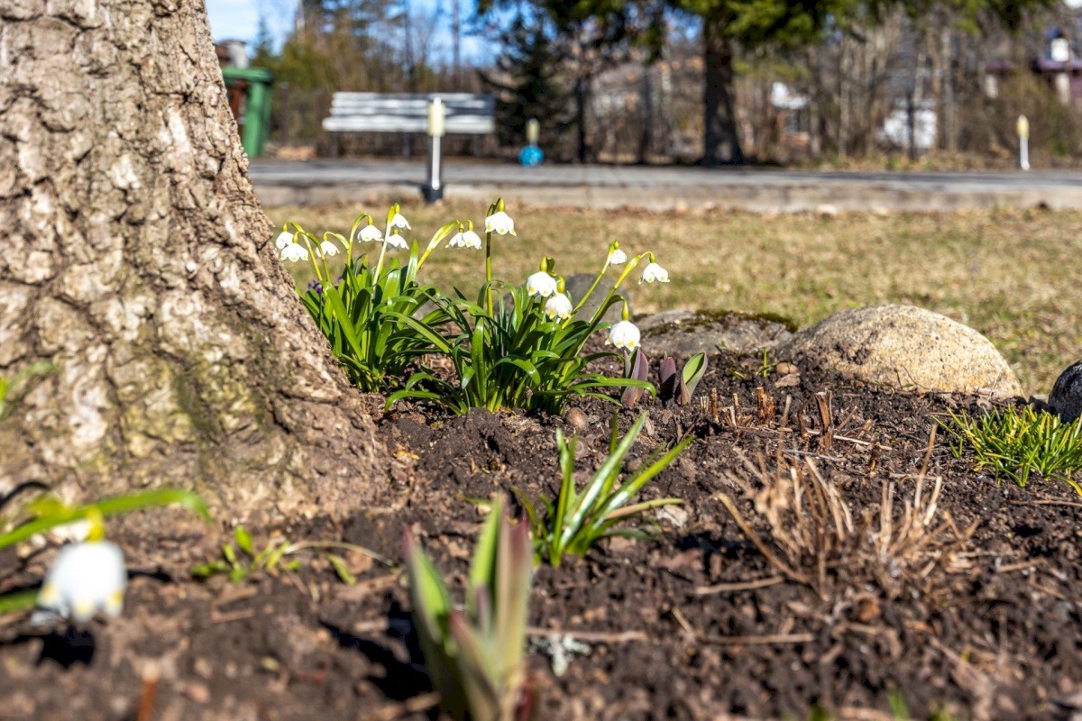 Kohila vald, Aespa alevik, Sigma 7