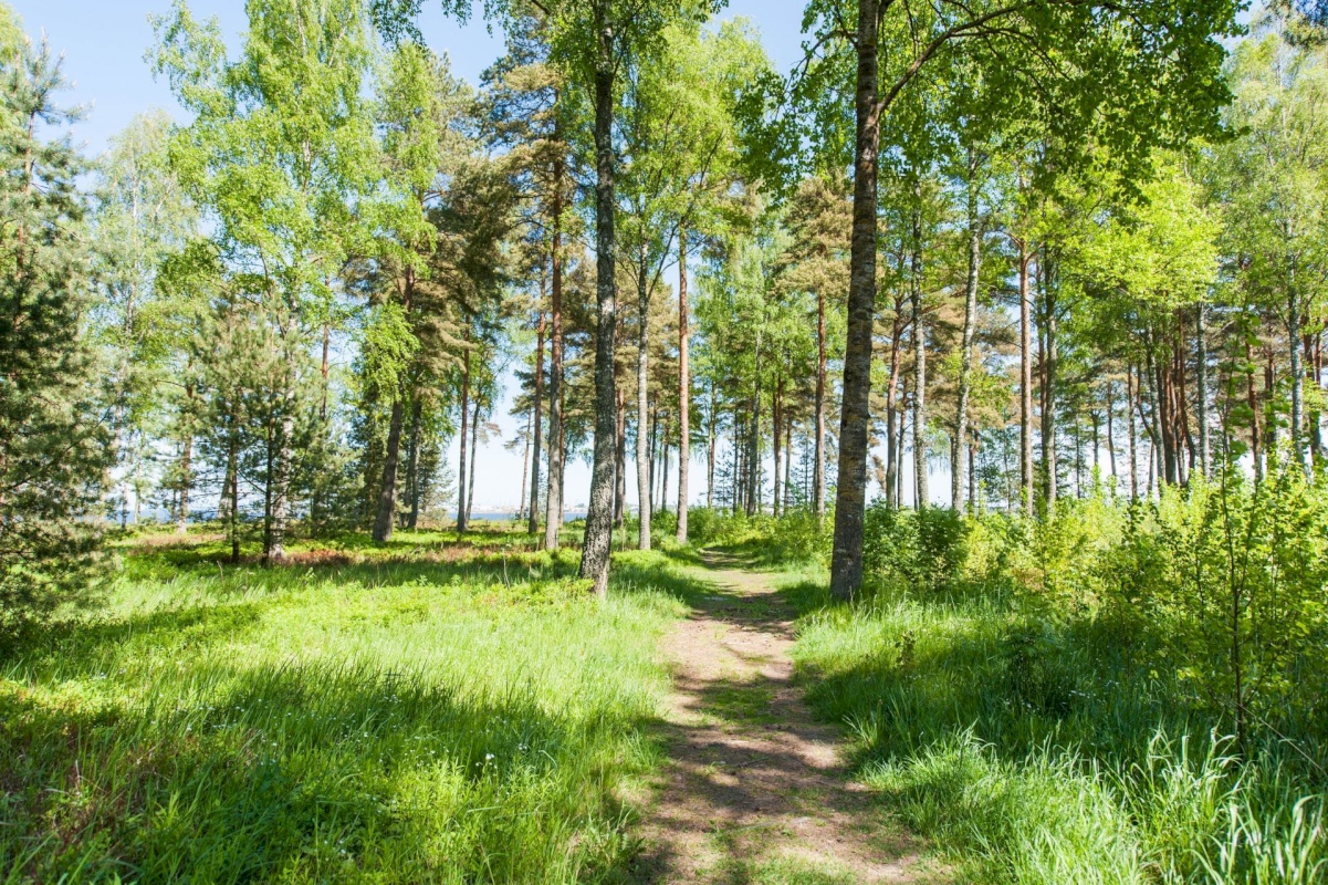 Tallinn, Haabersti linnaosa, Õismäe, Merirahu tn 4