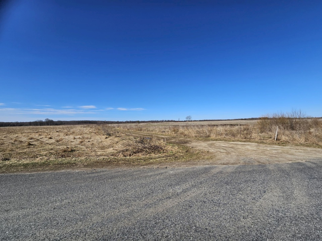 Haljala vald, Vihula küla, Ausliku