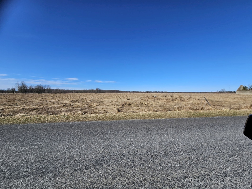 Haljala vald, Vihula küla, Ausliku