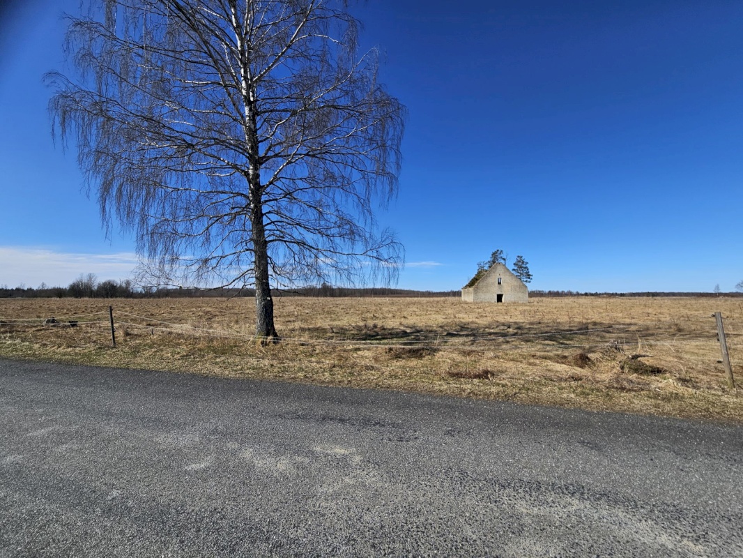 Haljala vald, Vihula küla, Ausliku