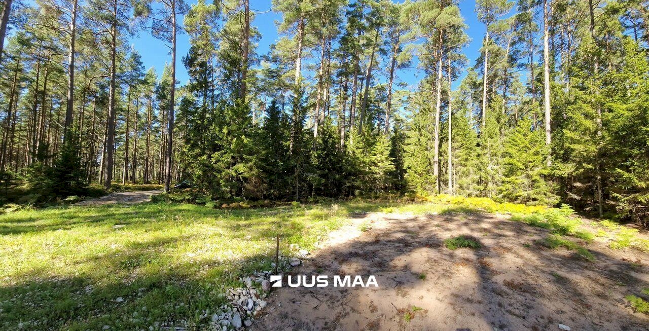 Hiiumaa vald, Kalana küla, Taga-Puumetsa