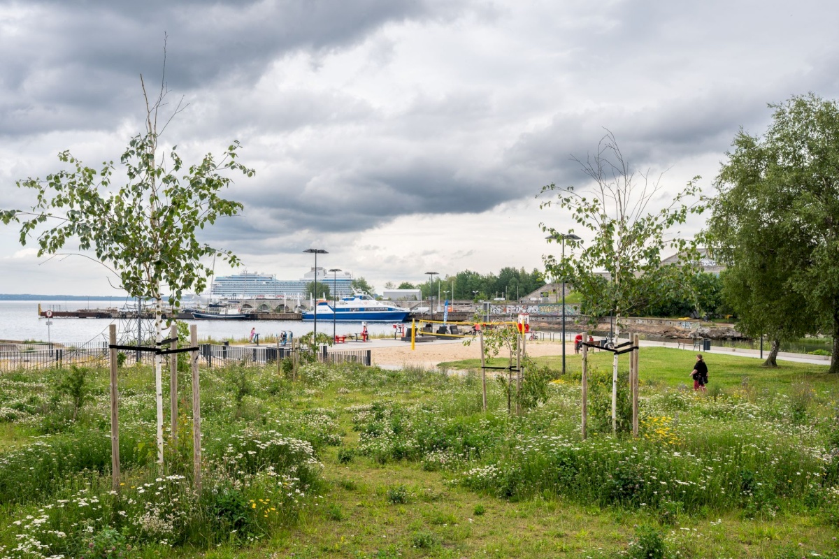 Tallinn, Põhja-Tallinna linnaosa, Kalaranna 8/11