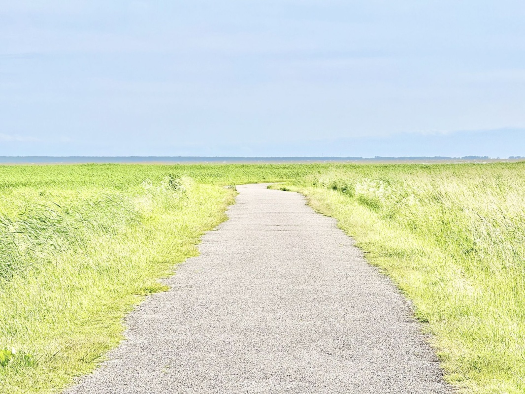 Pärnu linn, Pärnu linn, Mai, Mai tn 34