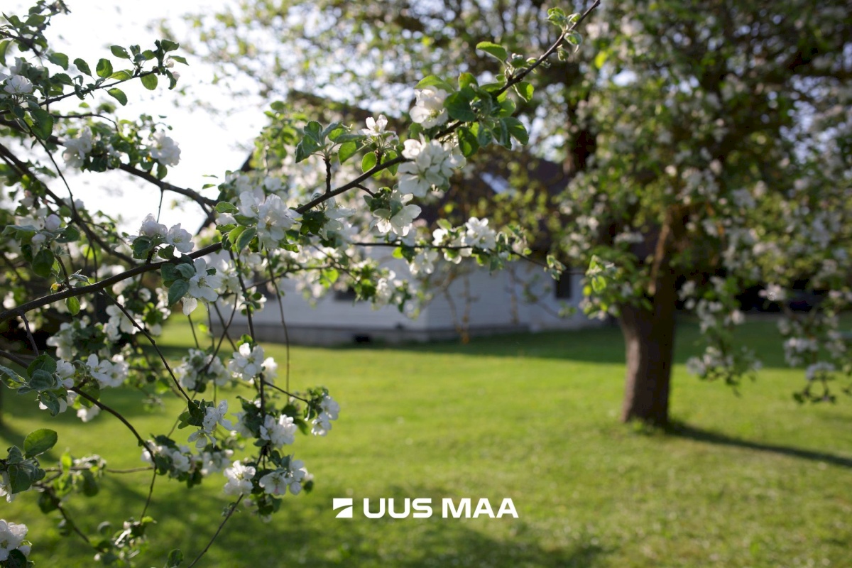 Jõelähtme vald, Maardu küla, Keskvälja