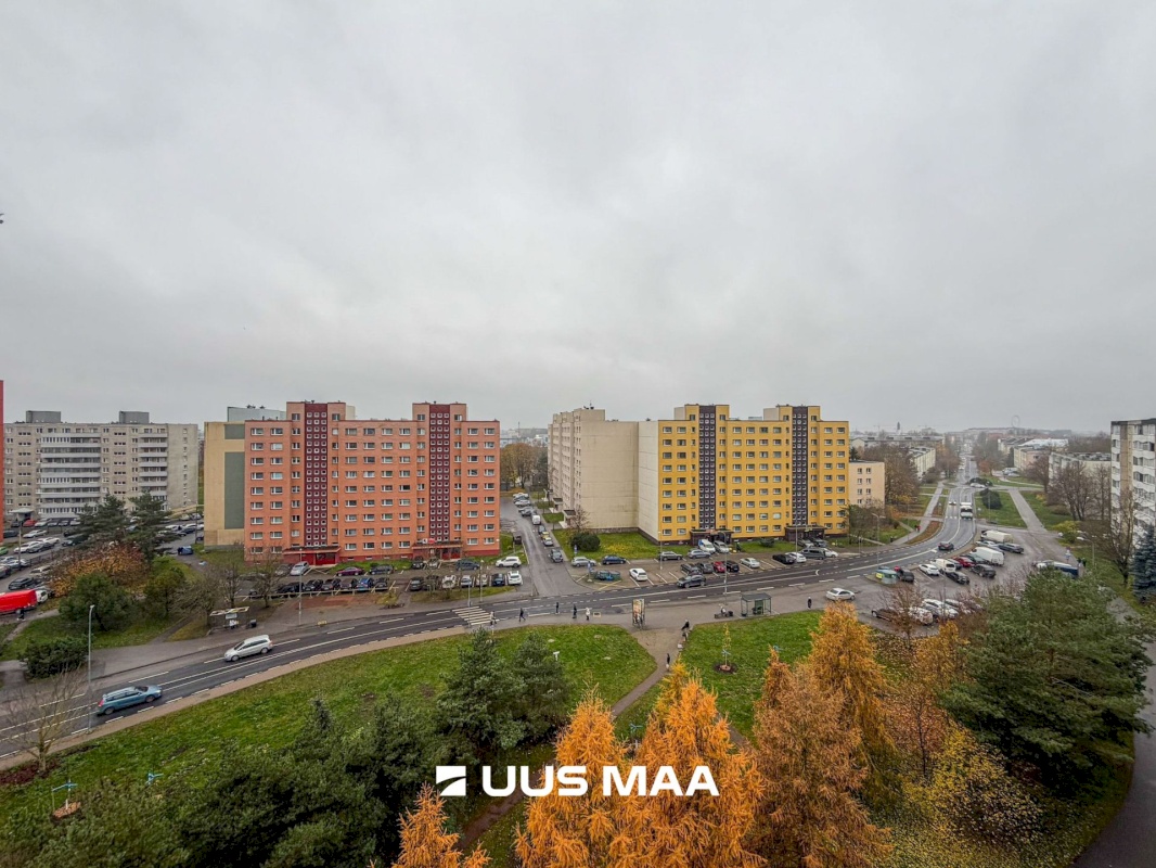 Tallinn, Lasnamäe linnaosa, Pae tn 49