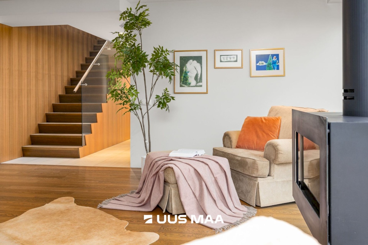 Viimsi vald, Tammneeme küla, Tammneeme tee 37