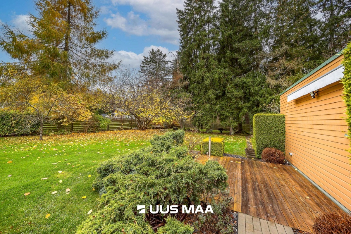 Viimsi vald, Tammneeme küla, Tammneeme tee 37