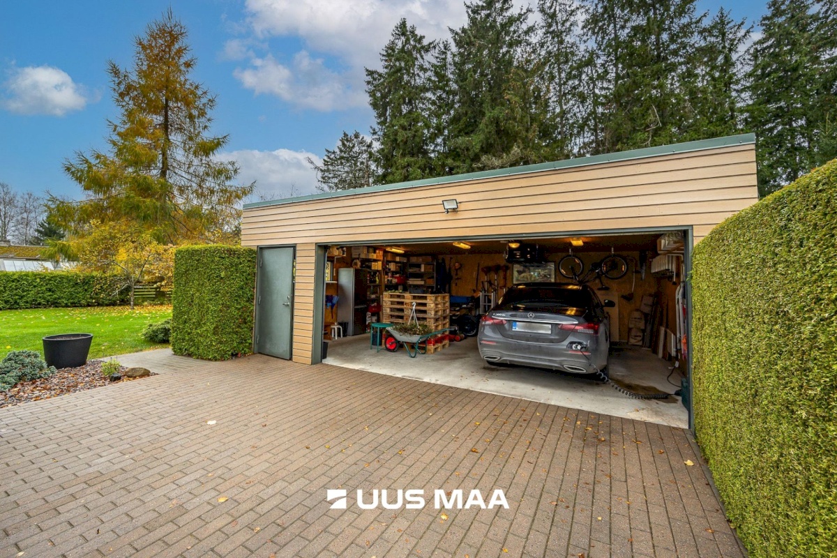 Viimsi vald, Tammneeme küla, Tammneeme tee 37