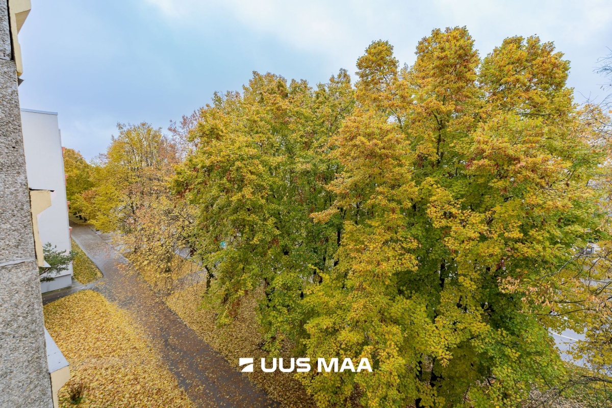 Tallinn, Lasnamäe linnaosa, Pikri tn 2