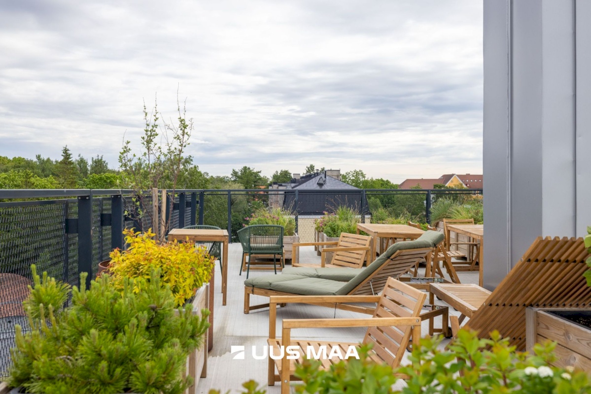 Tallinn, Põhja-Tallinna linnaosa, Ankru 8