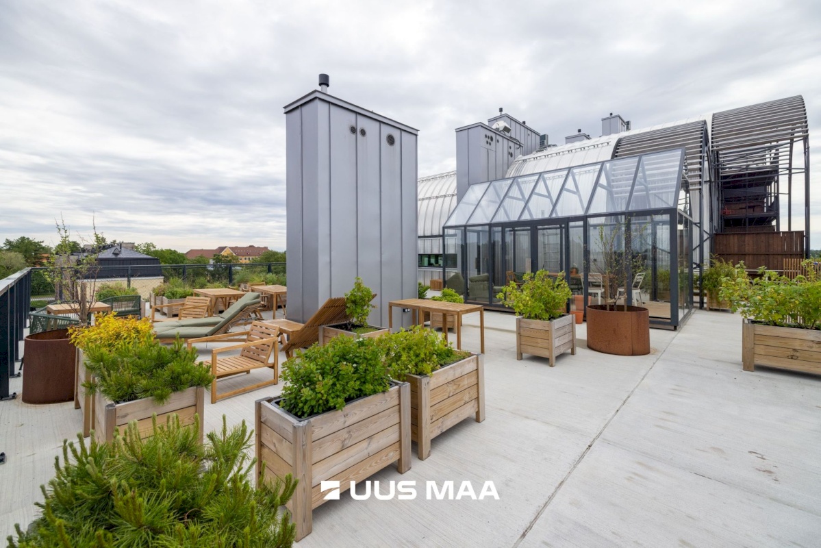 Tallinn, Põhja-Tallinna linnaosa, Ankru 8