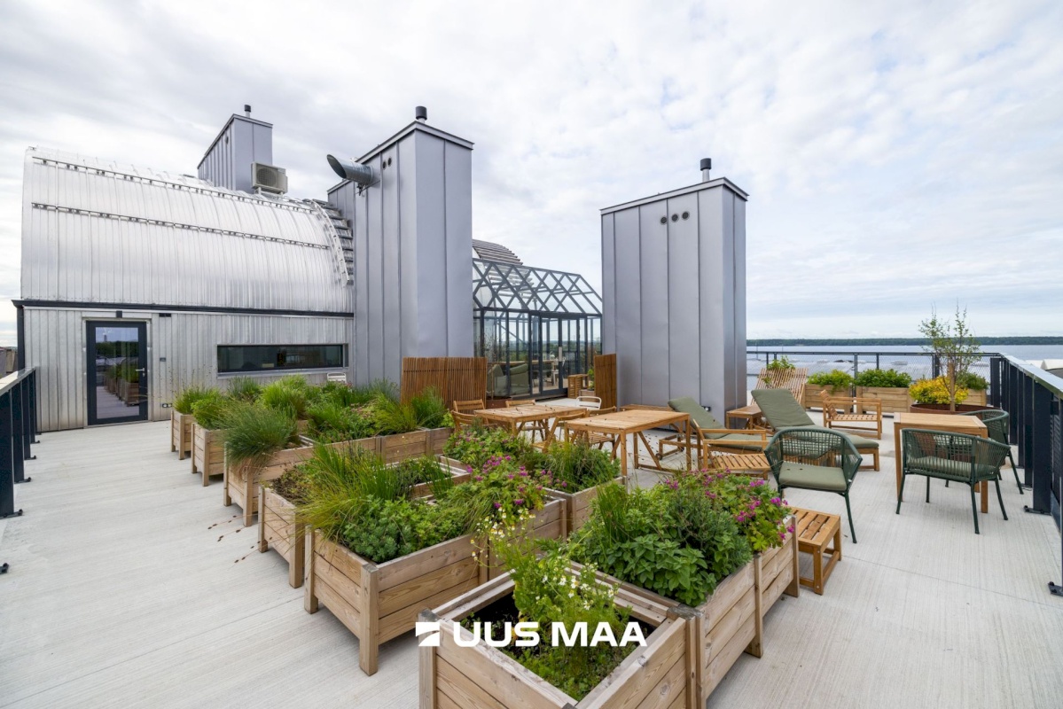 Tallinn, Põhja-Tallinna linnaosa, Ankru 8