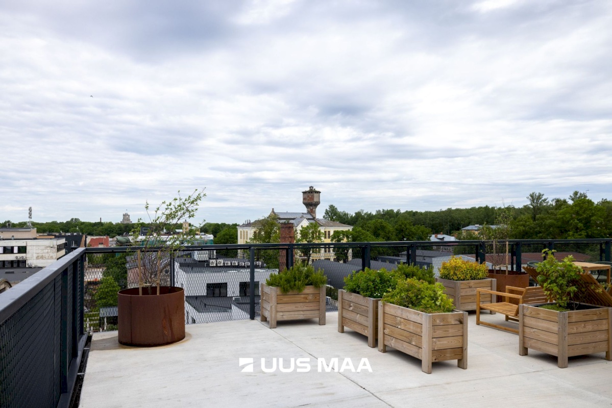 Tallinn, Põhja-Tallinna linnaosa, Ankru 8