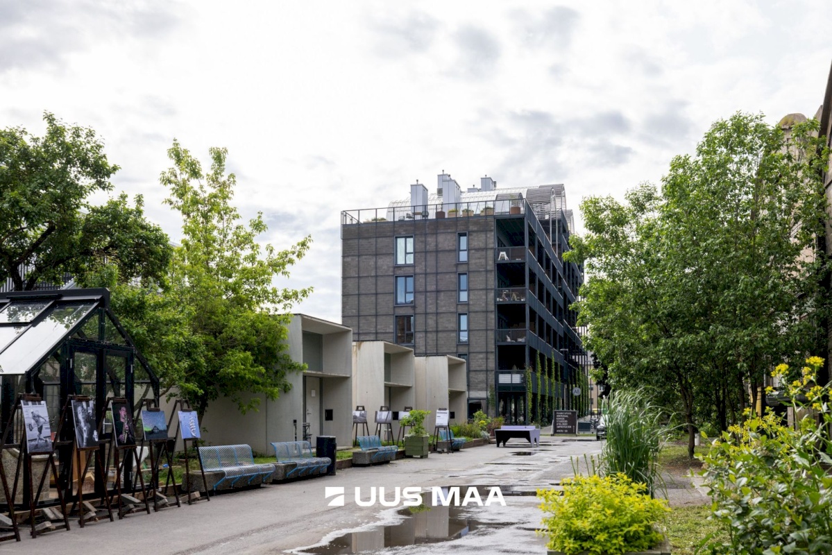 Tallinn, Põhja-Tallinna linnaosa, Ankru 8