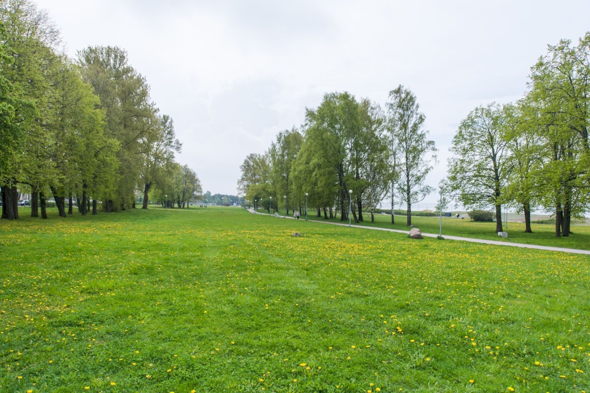 Tallinn, Põhja-Tallinna linnaosa, Lõime 29