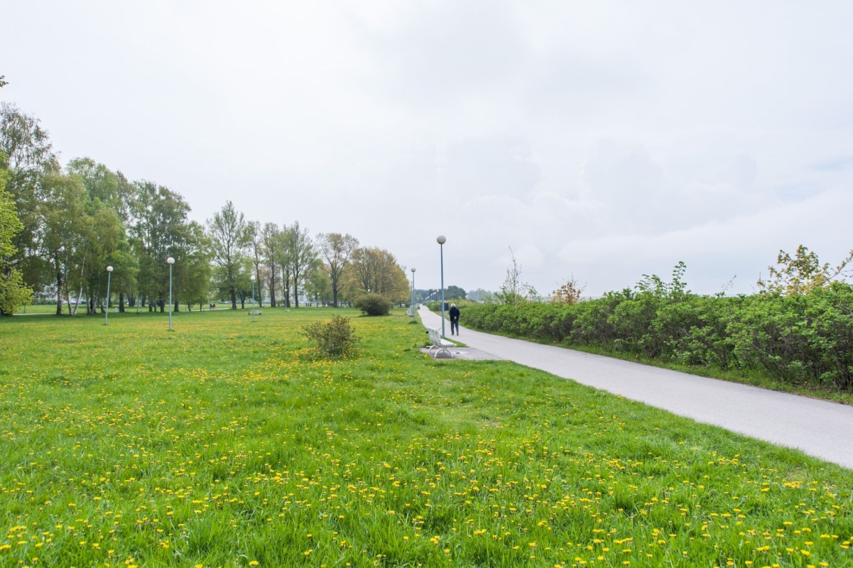 Tallinn, Põhja-Tallinna linnaosa, Lõime 29