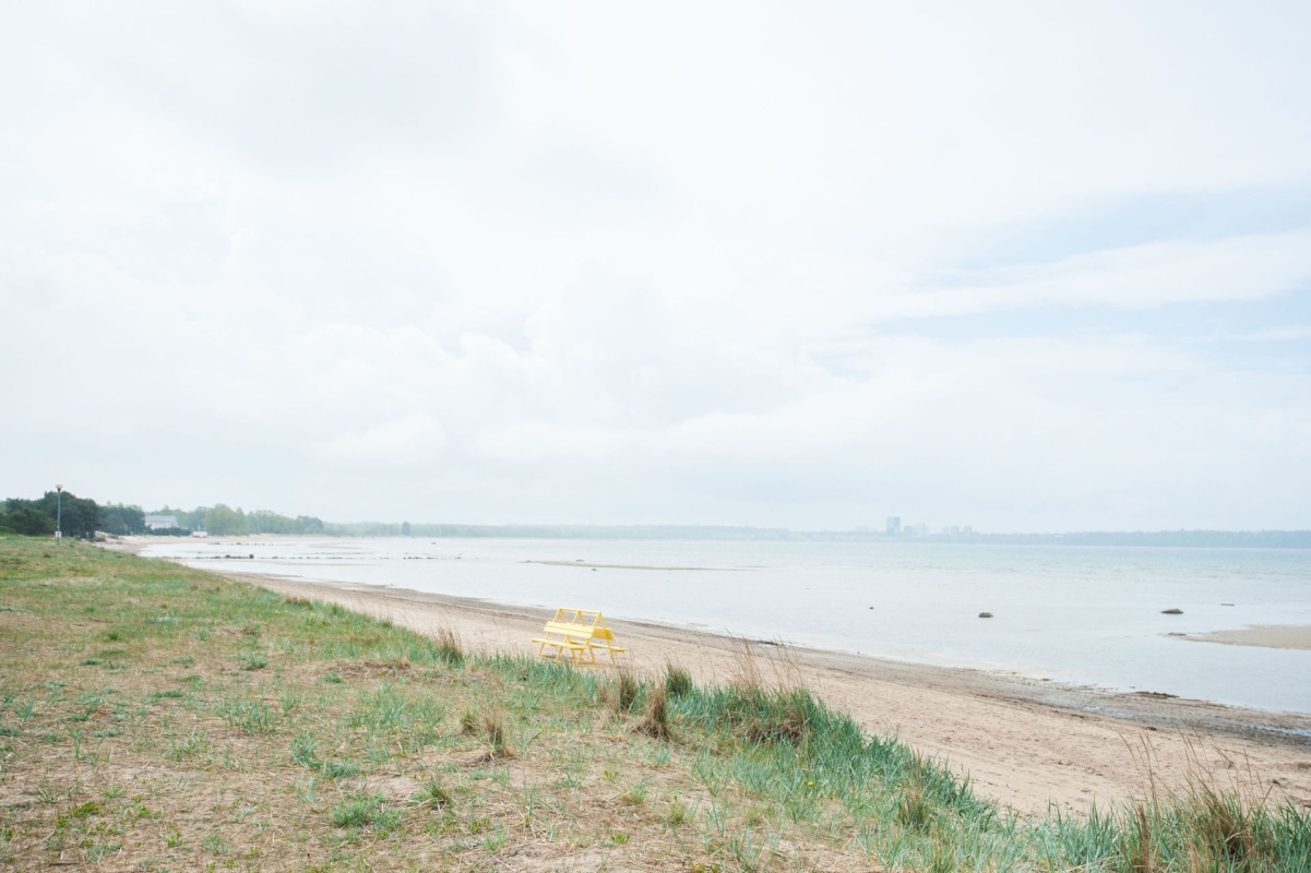 Tallinn, Põhja-Tallinna linnaosa, Lõime 29