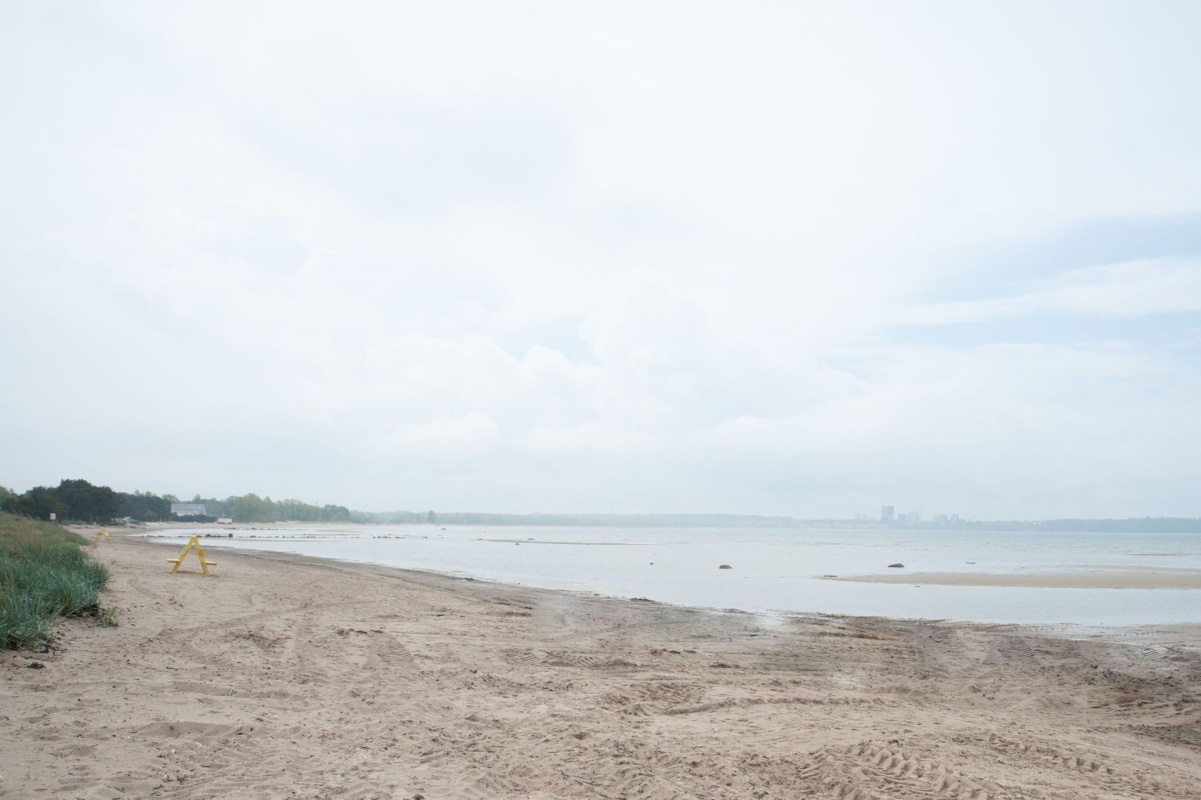 Tallinn, Põhja-Tallinna linnaosa, Lõime 29