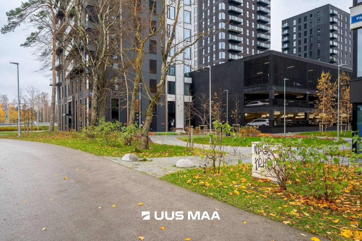 Tallinn, Haabersti linnaosa, Päevalille 8