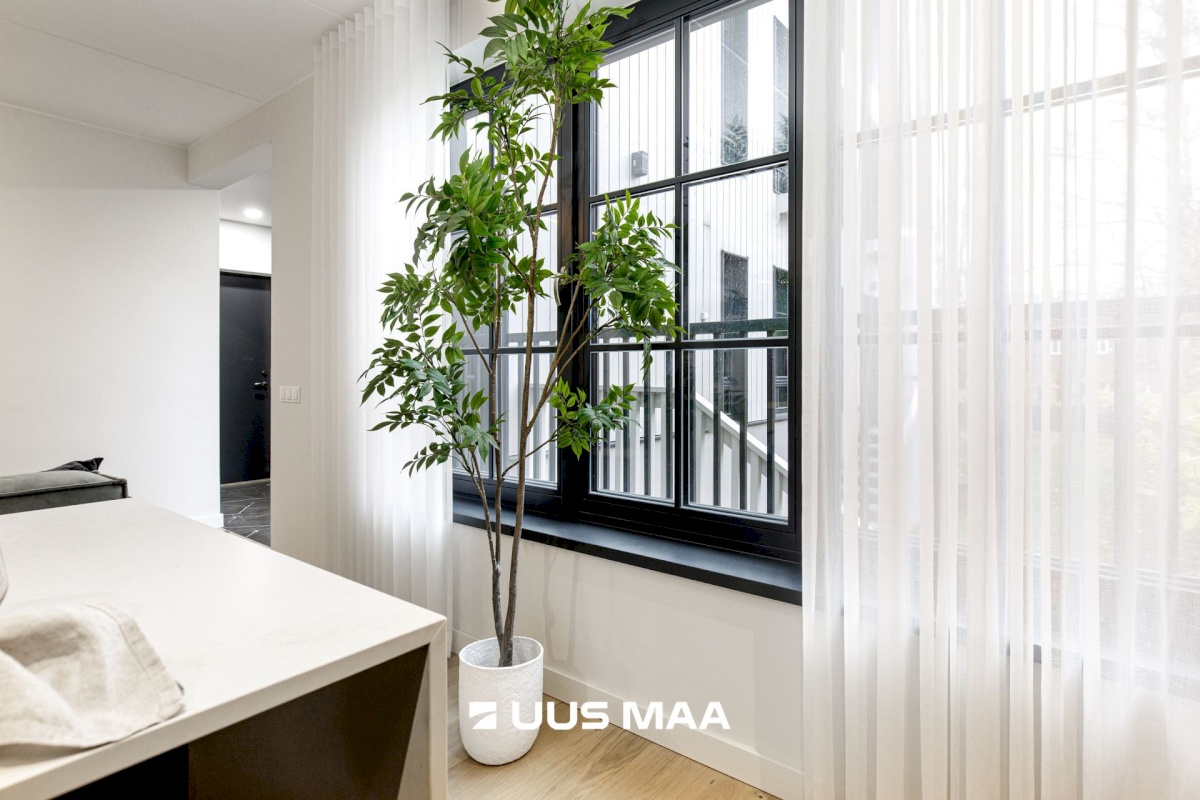 Tallinn, Põhja-Tallinna linnaosa, Kalamaja, Kopli 64