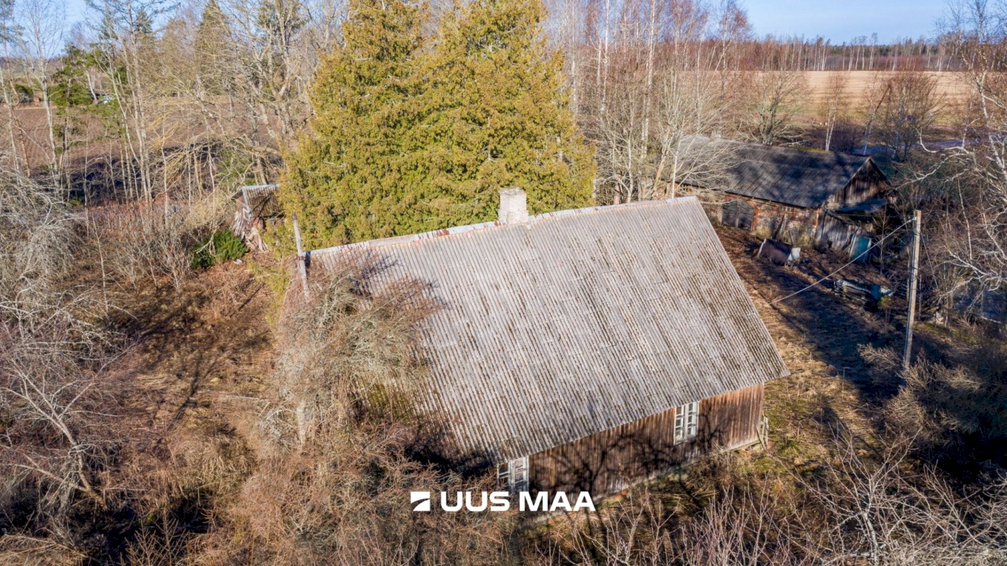 Luunja vald, Poksi küla, Lootuse