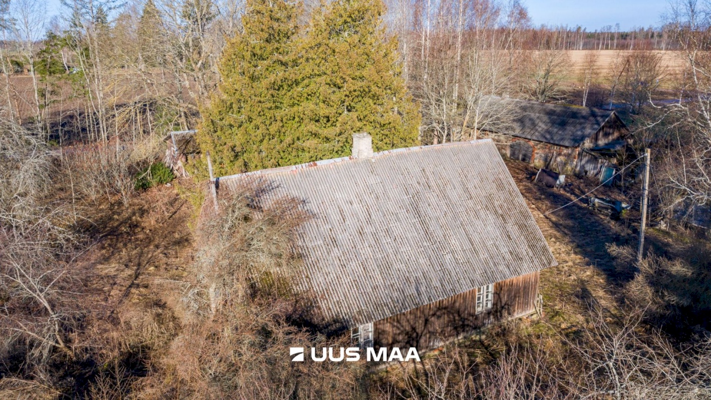 Luunja vald, Poksi küla, Lootuse