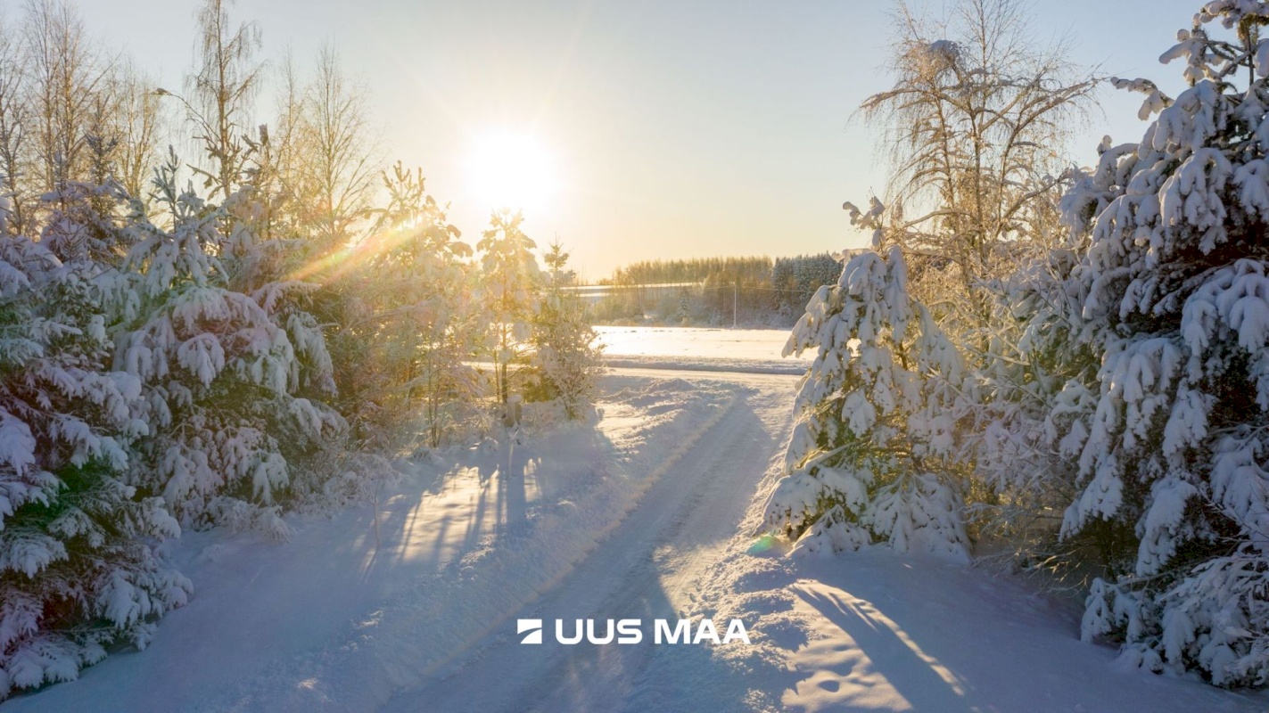 Tartu vald, Salu küla, Mari